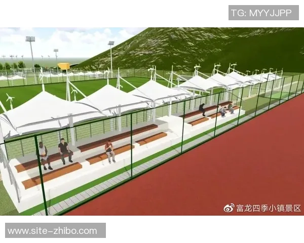 杭州足球场地推荐及周边设施一览助你畅享足球乐趣