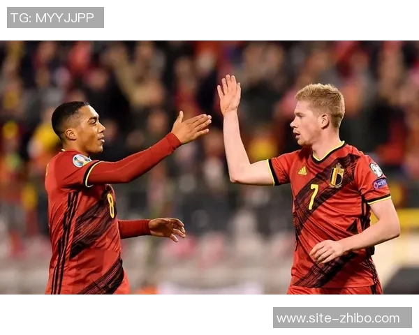 比利时足球队身价分析及其在国际足坛的影响力探讨