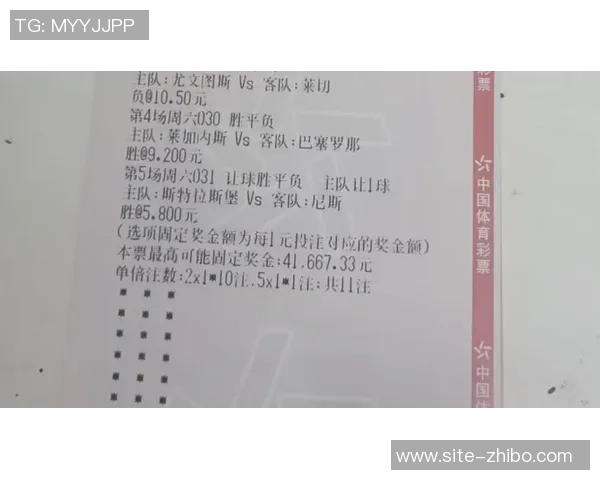 深入解析足球竞彩胜平负玩法技巧与策略助你轻松盈利